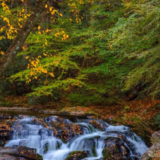 Great Smoky Mountains autumn wallpaper