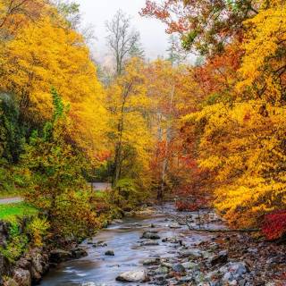 Great Smoky Mountains autumn wallpaper