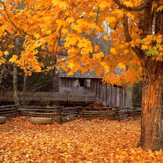 Great Smoky Mountains autumn wallpaper