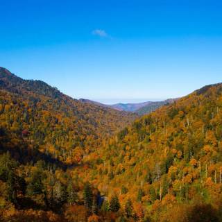 Great Smoky Mountains autumn wallpaper