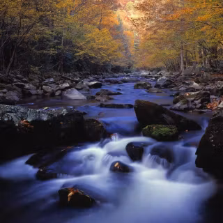 Great Smoky Mountains autumn wallpaper