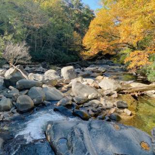 Great Smoky Mountains autumn wallpaper