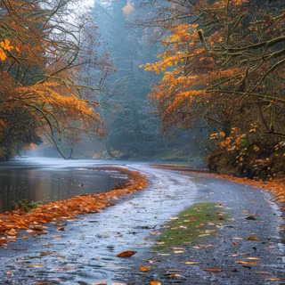 Foggy autumn road wallpaper