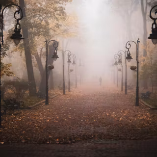 Foggy autumn road wallpaper