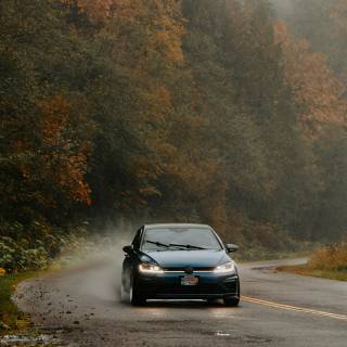 Foggy autumn road wallpaper