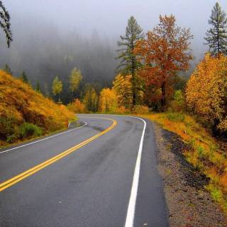 Foggy autumn road wallpaper