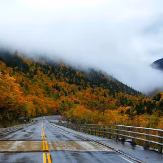 Foggy autumn road wallpaper