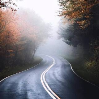 Foggy autumn road wallpaper