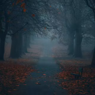Foggy autumn road wallpaper