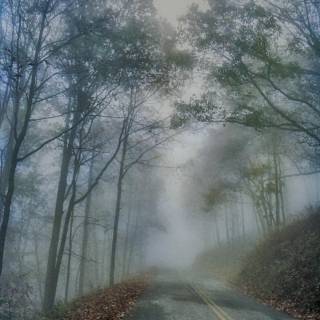 Foggy autumn road wallpaper