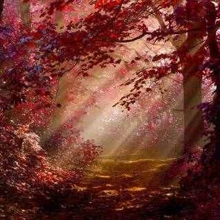 Foggy autumn road wallpaper