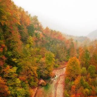 Foggy autumn road wallpaper