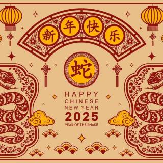 Year of The Snake 2025 wallpaper