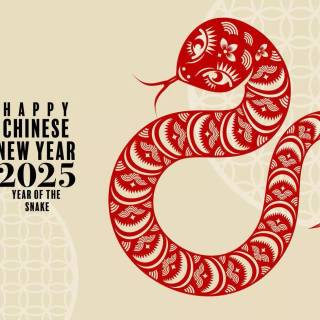 Year of The Snake 2025 wallpaper