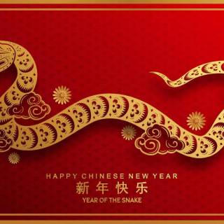 Year of The Snake 2025 wallpaper