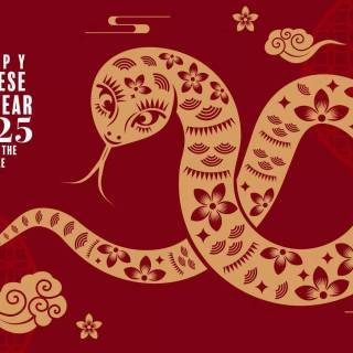 Year of The Snake 2025 wallpaper