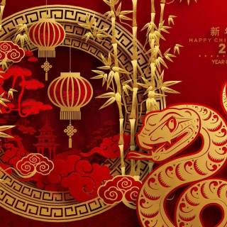 Year of The Snake 2025 wallpaper