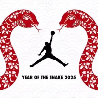 Year of The Snake 2025 wallpaper