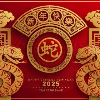 Year of The Snake 2025 wallpaper