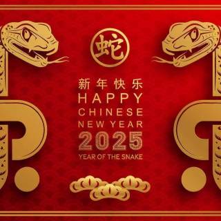 Year of The Snake 2025 wallpaper