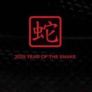 Year of The Snake 2025 wallpaper