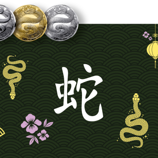 Year of The Snake 2025 wallpaper