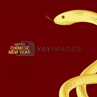 Year of The Snake 2025 wallpaper