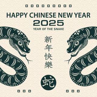 Year of The Snake 2025 wallpaper