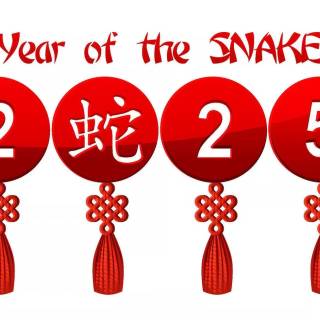 Year of The Snake 2025 wallpaper