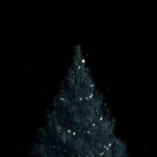 Dark Christmas tree wallpaper