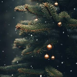 Dark Christmas tree wallpaper