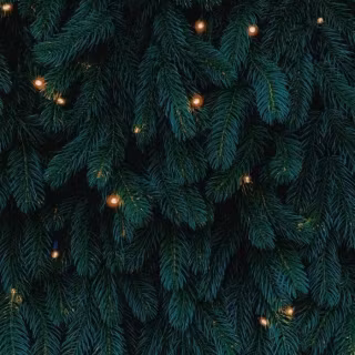 Dark Christmas tree wallpaper