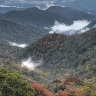 Great Smoky Mountains wallpaper