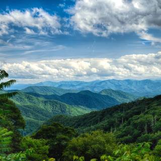 Great Smoky Mountains wallpaper