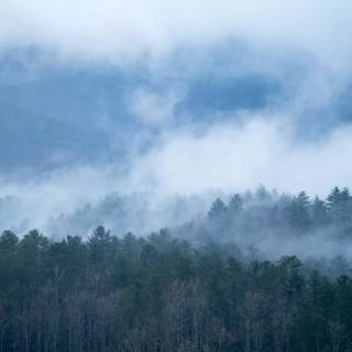 Great Smoky Mountains wallpaper