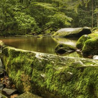 Great Smoky Mountains wallpaper