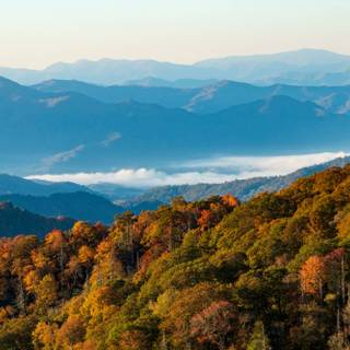 Great Smoky Mountains wallpaper