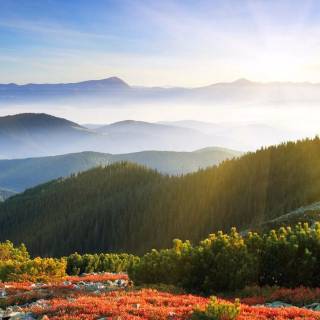 Great Smoky Mountains wallpaper