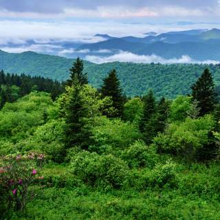Great Smoky Mountains wallpaper