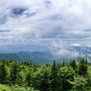 Great Smoky Mountains wallpaper