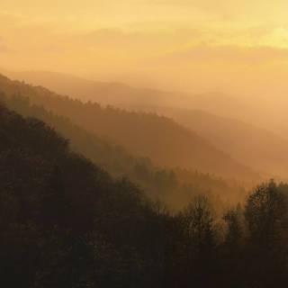 Great Smoky Mountains wallpaper