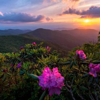 Great Smoky Mountains wallpaper