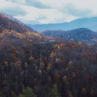 Great Smoky Mountains wallpaper