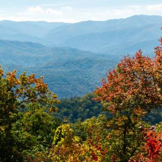 Great Smoky Mountains wallpaper