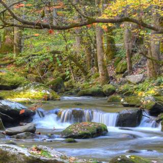 Great Smoky Mountains wallpaper