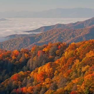 Great Smoky Mountains wallpaper