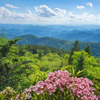 Great Smoky Mountains wallpaper