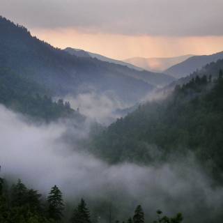 Great Smoky Mountains wallpaper