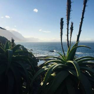 Western Cape wallpaper