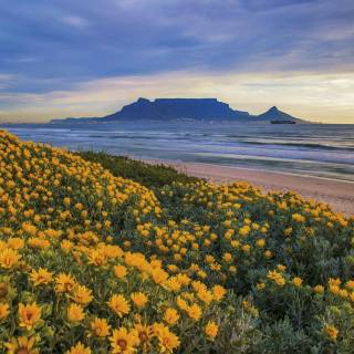 Western Cape wallpaper